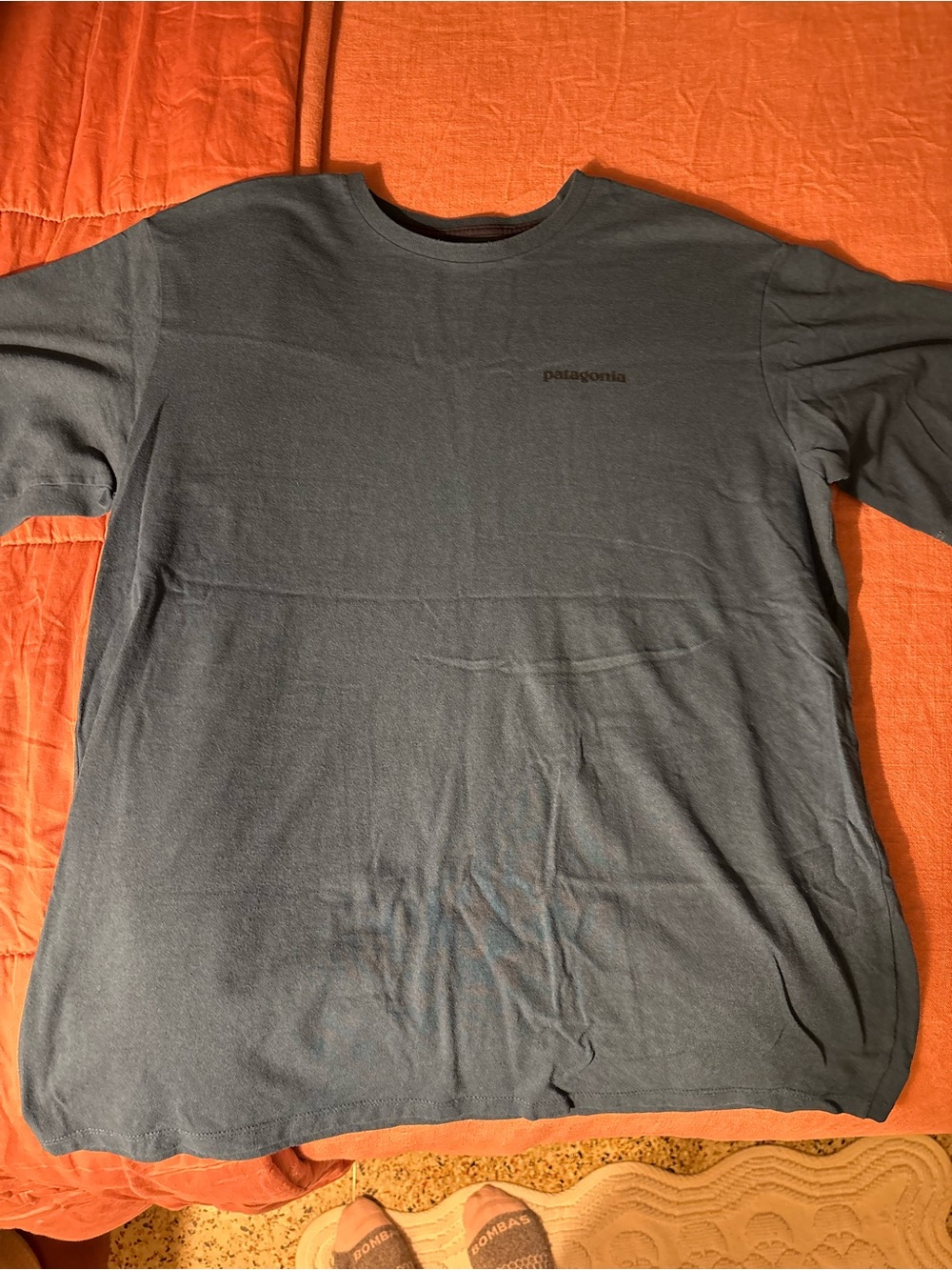 Patagonia Navy Tee with Multicolor Mountain Logo - Picture 3 of 5
